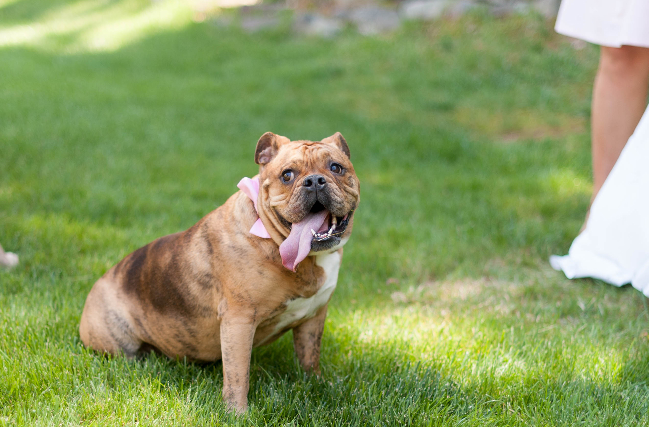 Michelle_Nima_EvergreenMuseum28