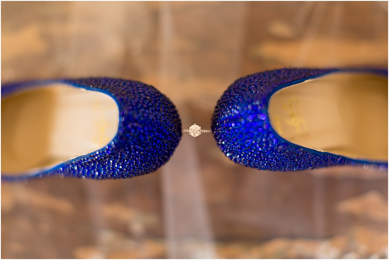 Lacey_Bridal_Portraits_Elk_Manor_Winery_Maryland_Wedding_Photographer_0003