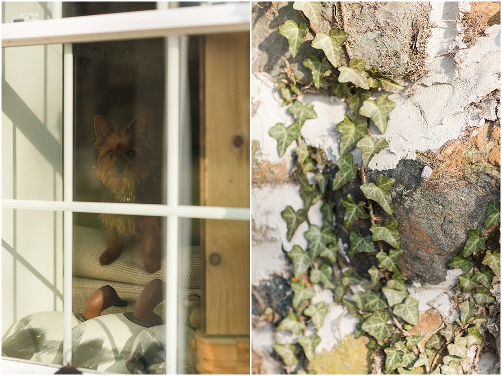 Fallston_farm_Engagement_Maryland_Wedding_Photographer_0020