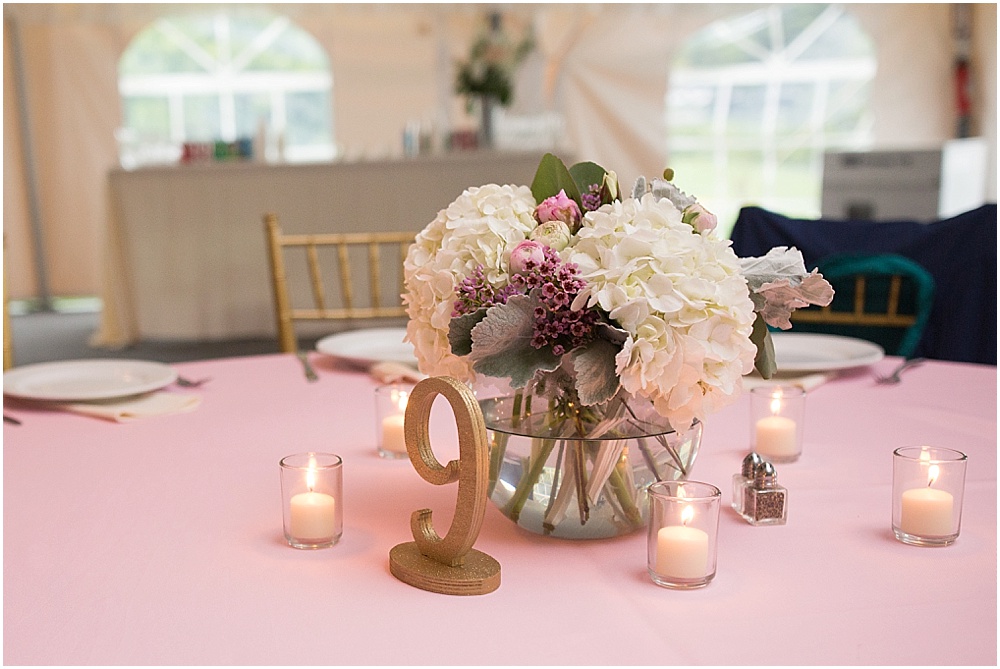 Belmont_Manor_Wedding_Baltimore_Wedding_Photographer_0112