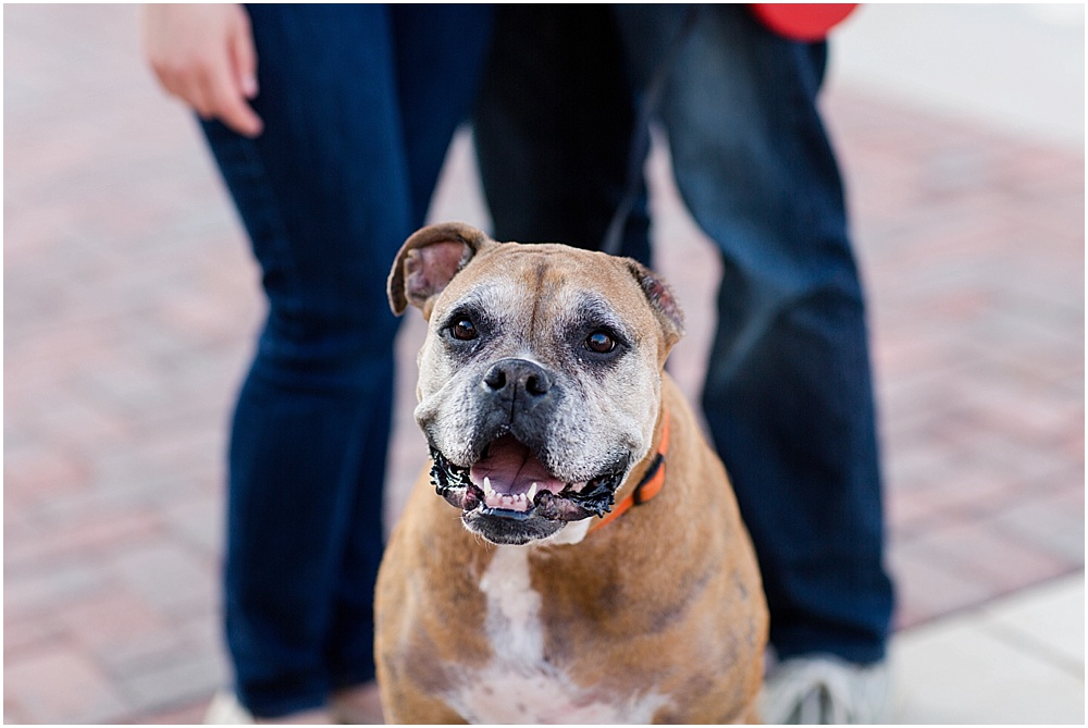 Amy_Alex_Federal_Hill_Engagement_Baltimore_Wedding_Photographer_0004