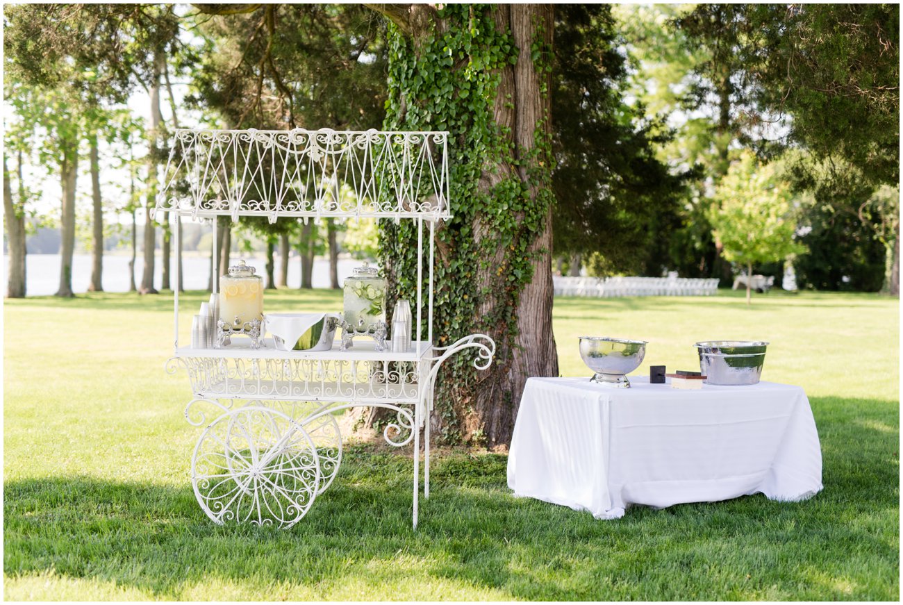 Ally_Ted_Kirkland_Manor_Wedding_0043