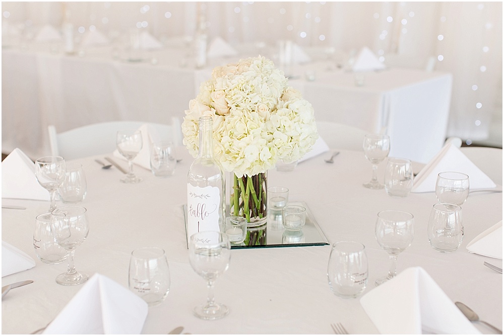 mitzner_silverdale_beach_hotel_wedding_silverdale_washington_pacific_northwest_wedding_photographer_0047