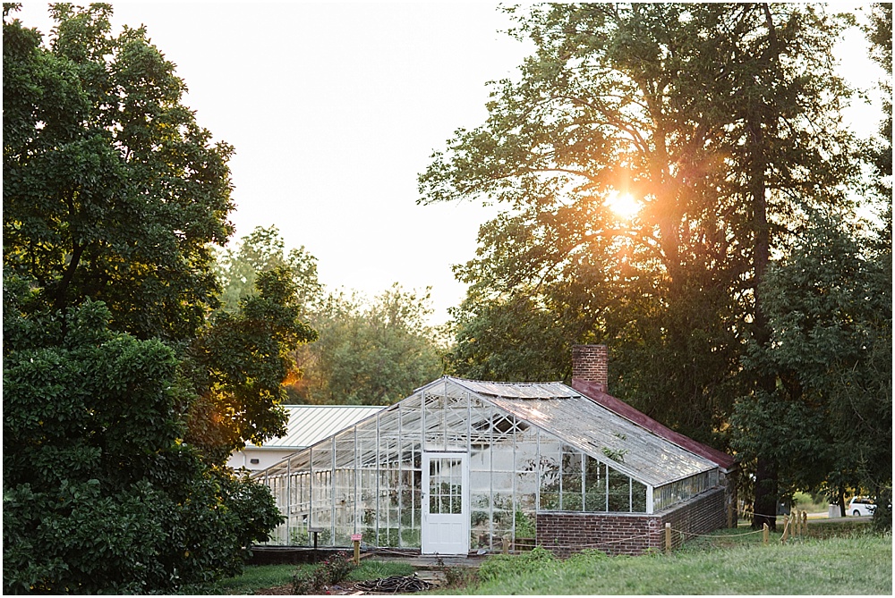 shelby_hampton_mansion_baltimore_wedding_photographer_0017
